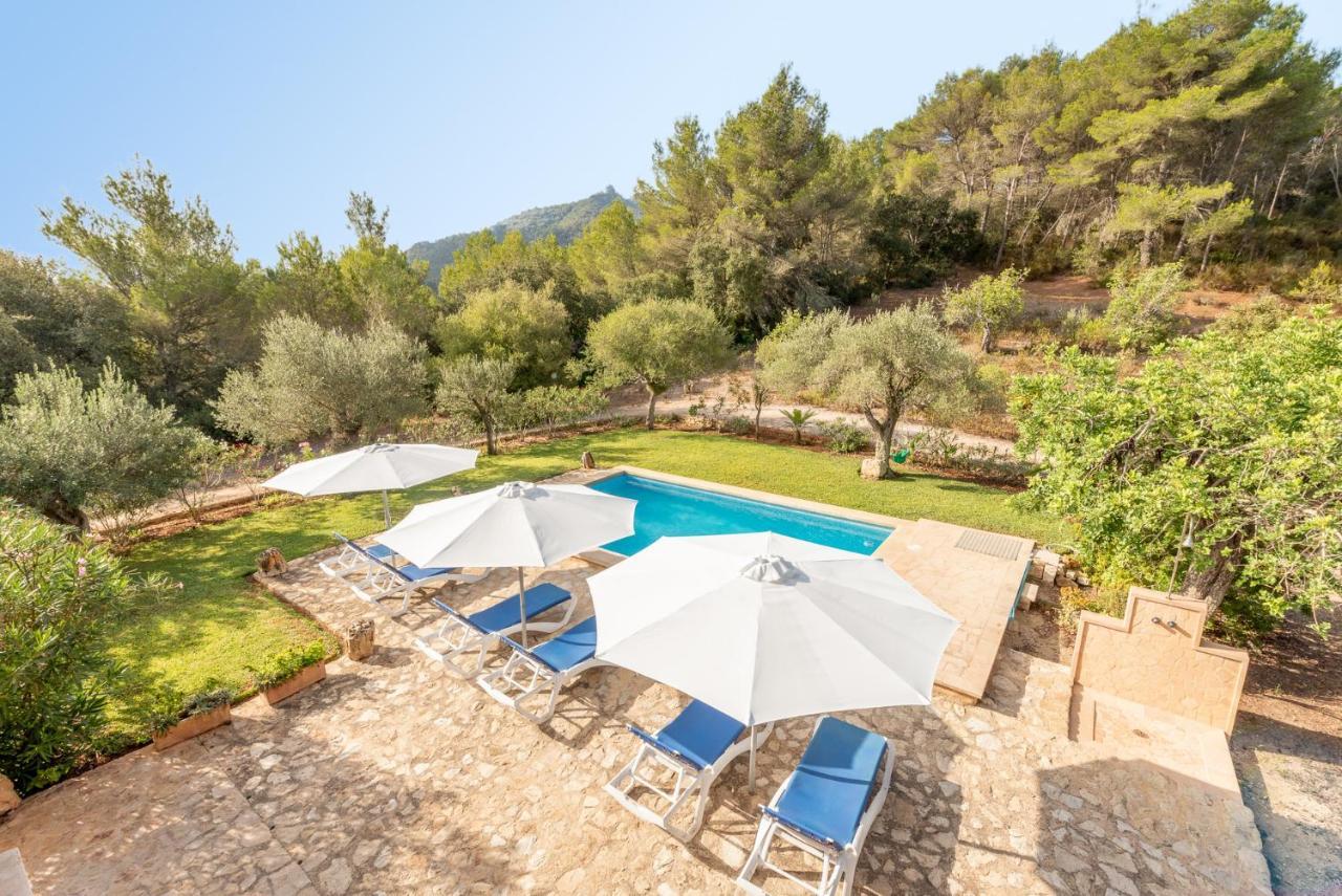 Vakantiehuis Alcina By Mallorca House Rent Felanitx