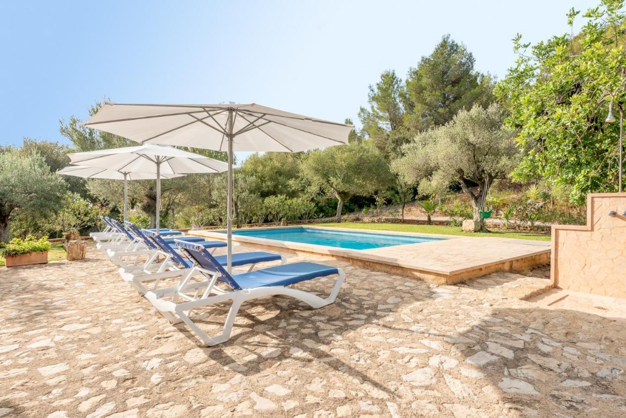 Vakantiehuis Alcina By Mallorca House Rent Felanitx